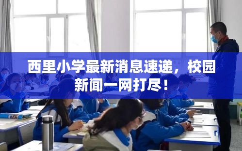 西里小學(xué)最新消息速遞，校園新聞一網(wǎng)打盡！