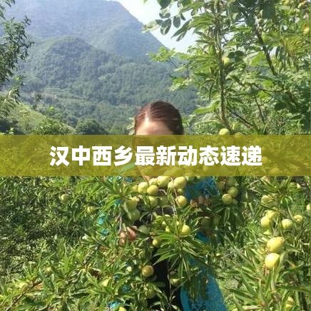 漢中西鄉(xiāng)最新動態(tài)速遞