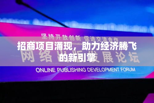 招商項目涌現(xiàn)，助力經(jīng)濟騰飛的新引擎