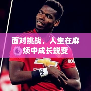 面對挑戰(zhàn)，人生在麻煩中成長蛻變