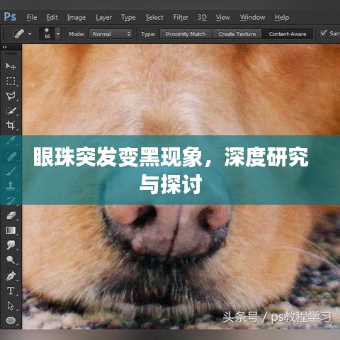 棲沖業(yè)簡