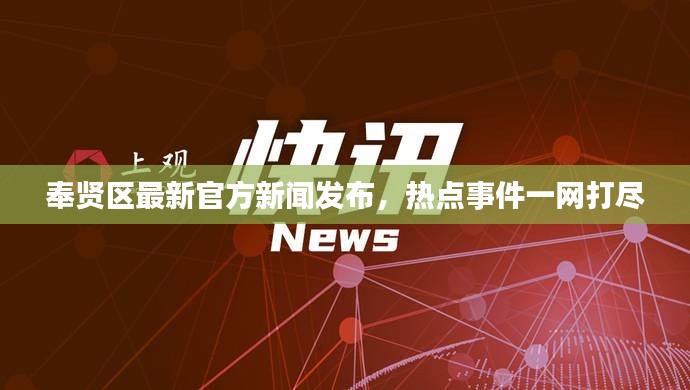 奉賢區(qū)最新官方新聞發(fā)布，熱點(diǎn)事件一網(wǎng)打盡
