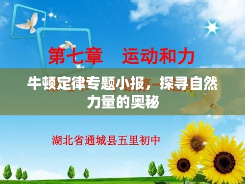 牛頓定律專題小報，探尋自然力量的奧秘
