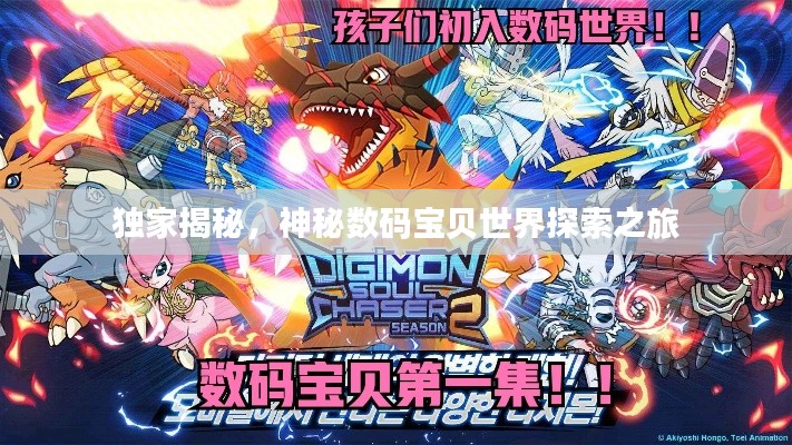 獨(dú)家揭秘，神秘?cái)?shù)碼寶貝世界探索之旅