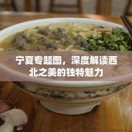 寧夏專題圖，深度解讀西北之美的獨(dú)特魅力