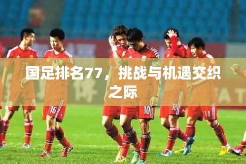 國足排名77，挑戰(zhàn)與機遇交織之際