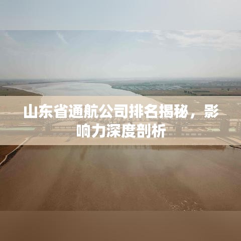 山東省通航公司排名揭秘，影響力深度剖析