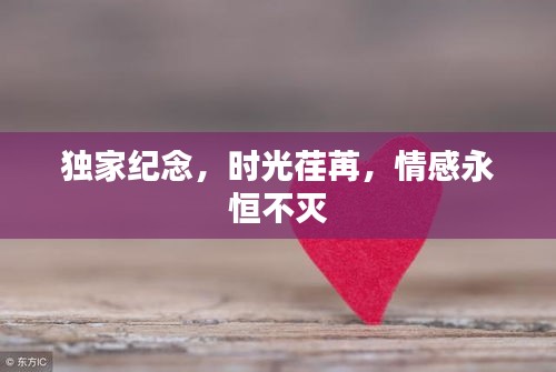 獨(dú)家紀(jì)念，時(shí)光荏苒，情感永恒不滅