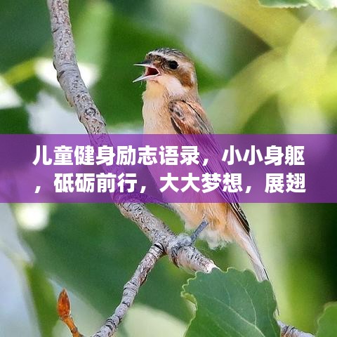 兒童健身勵志語錄，小小身軀，砥礪前行，大大夢想，展翅飛翔