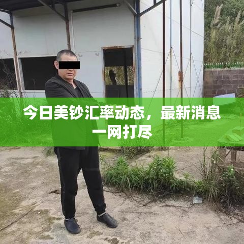 今日美鈔匯率動態(tài)，最新消息一網(wǎng)打盡