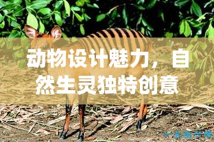 動物設計魅力，自然生靈獨特創(chuàng)意展現(xiàn)