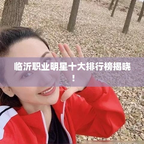 臨沂職業(yè)明星十大排行榜揭曉！