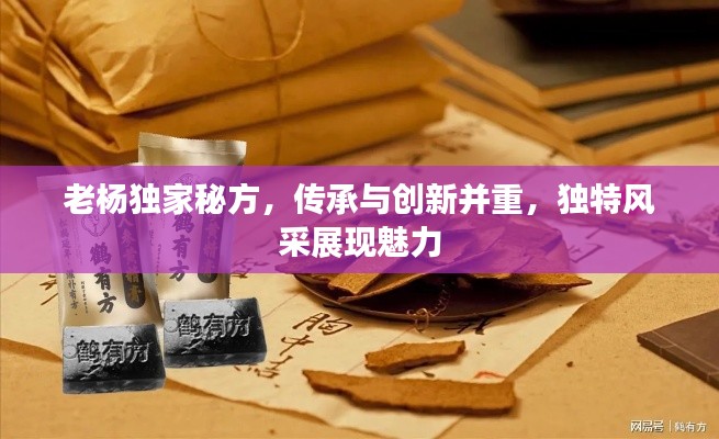 老楊獨(dú)家秘方，傳承與創(chuàng)新并重，獨(dú)特風(fēng)采展現(xiàn)魅力