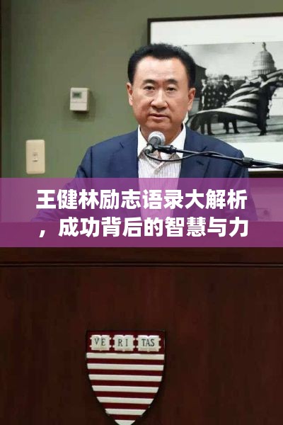 王健林勵(lì)志語(yǔ)錄大解析，成功背后的智慧與力量
