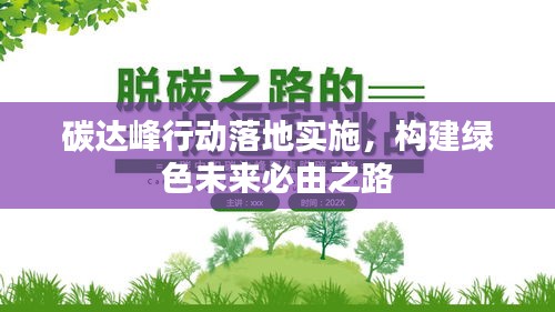 碳達峰行動落地實施，構(gòu)建綠色未來必由之路