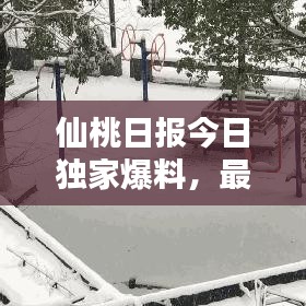仙桃日報今日獨家爆料，最新消息一網(wǎng)打盡！