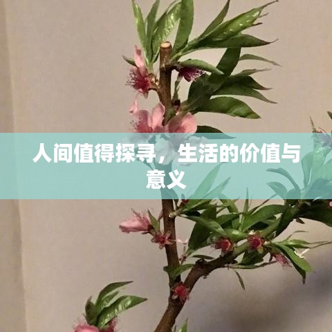 人間值得探尋，生活的價(jià)值與意義