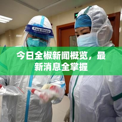 今日全椒新聞概覽，最新消息全掌握