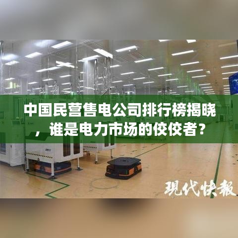 中國民營售電公司排行榜揭曉，誰是電力市場的佼佼者？