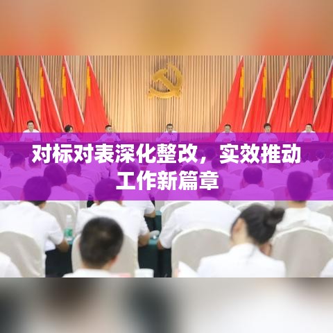 對標對表深化整改，實效推動工作新篇章