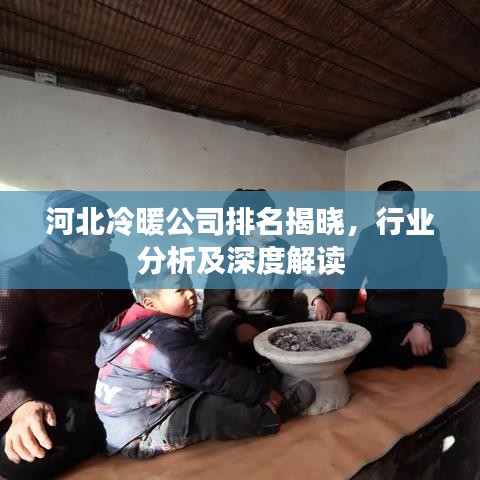 河北冷暖公司排名揭曉，行業(yè)分析及深度解讀