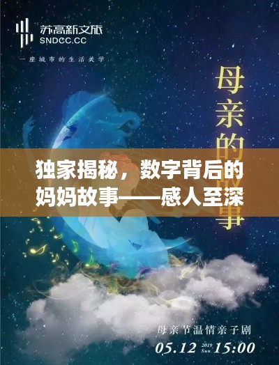 獨(dú)家揭秘，數(shù)字背后的媽媽故事——感人至深的母愛之旅