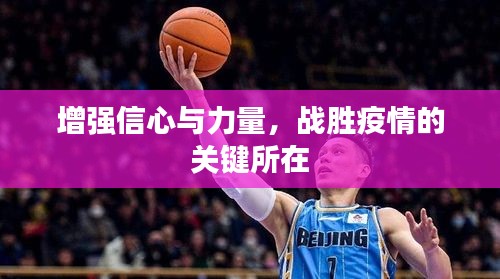 碧瓦飛甍