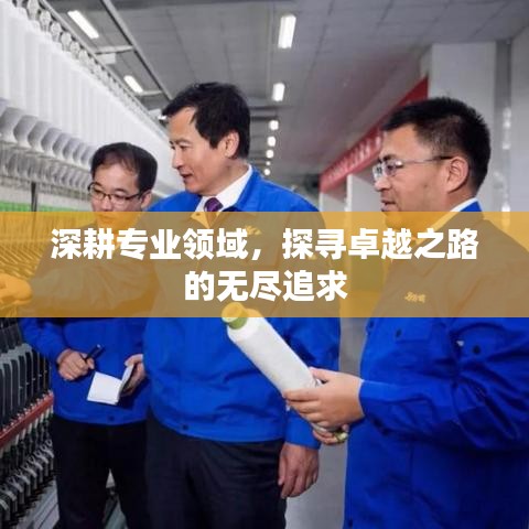 深耕專業(yè)領域，探尋卓越之路的無盡追求