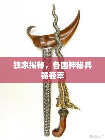 獨家揭秘，各國神秘兵器薈萃