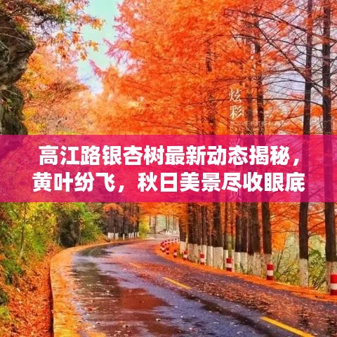 第5頁