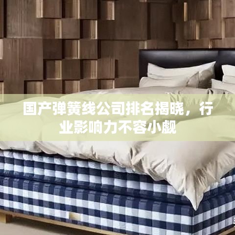 國產(chǎn)彈簧線公司排名揭曉，行業(yè)影響力不容小覷
