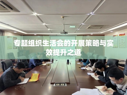 專題組織生活會的開展策略與實效提升之道