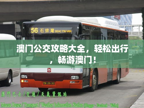 澳門公交攻略大全，輕松出行，暢游澳門！