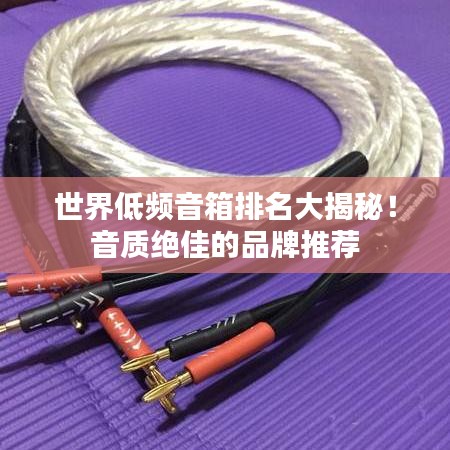 世界低頻音箱排名大揭秘！音質(zhì)絕佳的品牌推薦