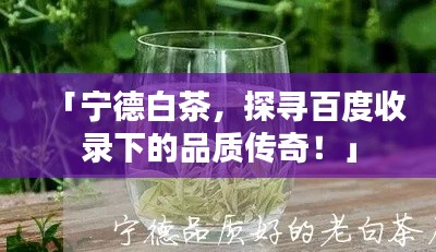 「寧德白茶，探尋百度收錄下的品質(zhì)傳奇！」