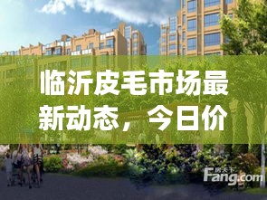 臨沂皮毛市場(chǎng)最新動(dòng)態(tài)，今日價(jià)格走勢(shì)、影響因素一網(wǎng)打盡！