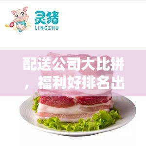 配送公司大比拼，福利好排名出爐！