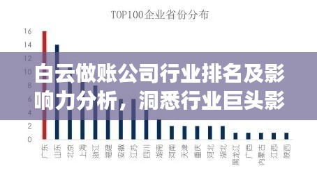 白云做賬公司行業(yè)排名及影響力分析，洞悉行業(yè)巨頭影響力