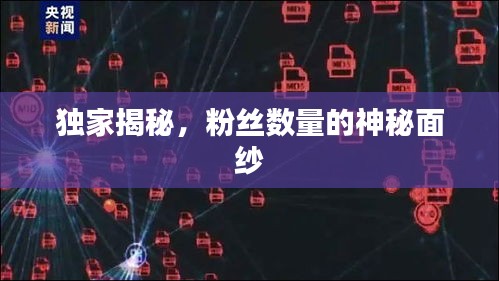 獨(dú)家揭秘，粉絲數(shù)量的神秘面紗
