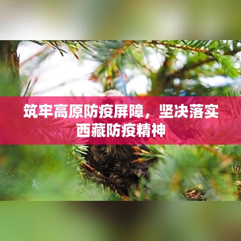 筑牢高原防疫屏障，堅(jiān)決落實(shí)西藏防疫精神