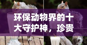環(huán)保動物界的十大守護(hù)神，珍貴生態(tài)守護(hù)者的榮耀排名