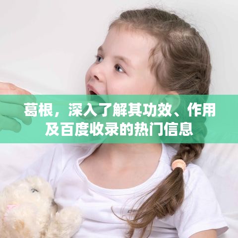 葛根，深入了解其功效、作用及百度收錄的熱門信息
