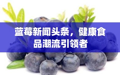 藍(lán)莓新聞頭條，健康食品潮流引領(lǐng)者