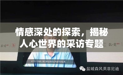 情感深處的探索，揭秘人心世界的采訪專題