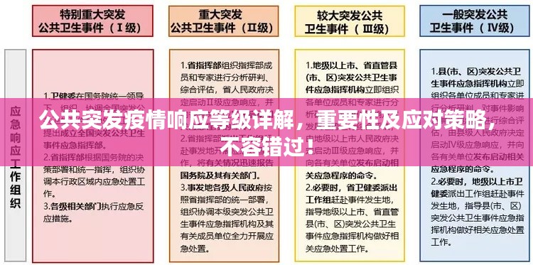 公共突發(fā)疫情響應(yīng)等級詳解，重要性及應(yīng)對策略，不容錯(cuò)過！