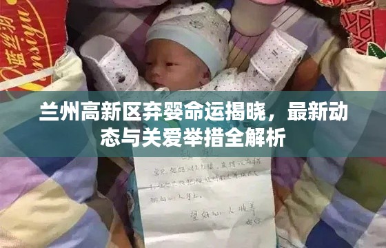 蘭州高新區(qū)棄嬰命運揭曉，最新動態(tài)與關愛舉措全解析
