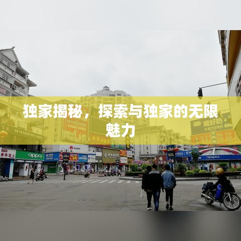 獨(dú)家揭秘，探索與獨(dú)家的無限魅力