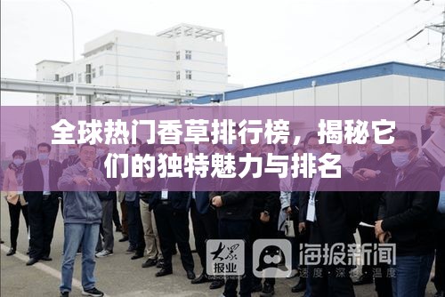 全球熱門香草排行榜，揭秘它們的獨特魅力與排名