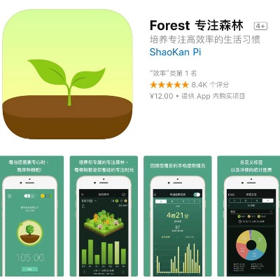 forest版本,清晰計(jì)劃執(zhí)行輔導(dǎo)|SP_v10.380