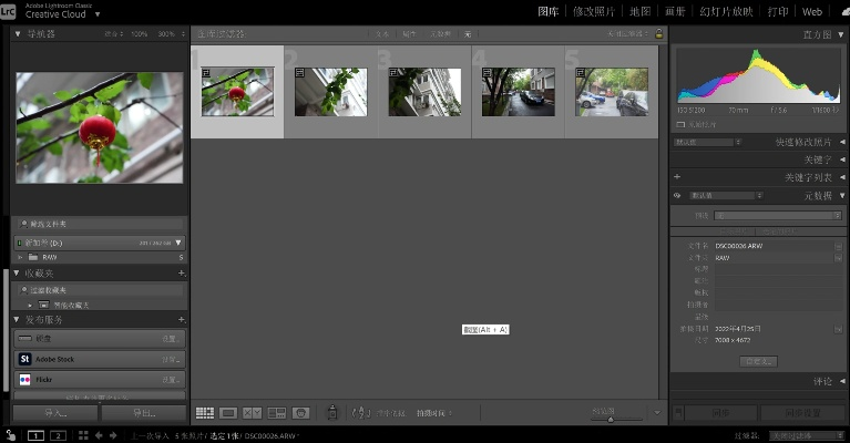 lr版本對比,精細(xì)設(shè)計策略-試用版_v9.921